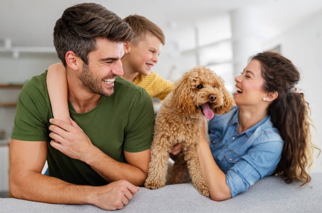Glückliche Familie spielt auf dem Sofa mit ihrem Hund